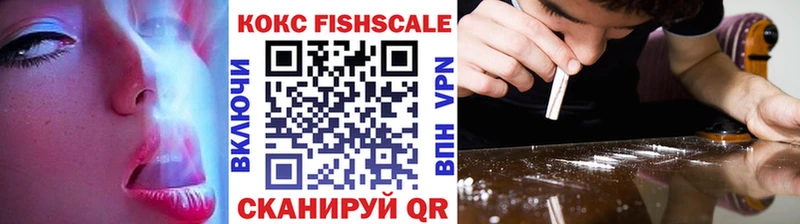 Купить закладки  Муром  Cocaine VHQ 